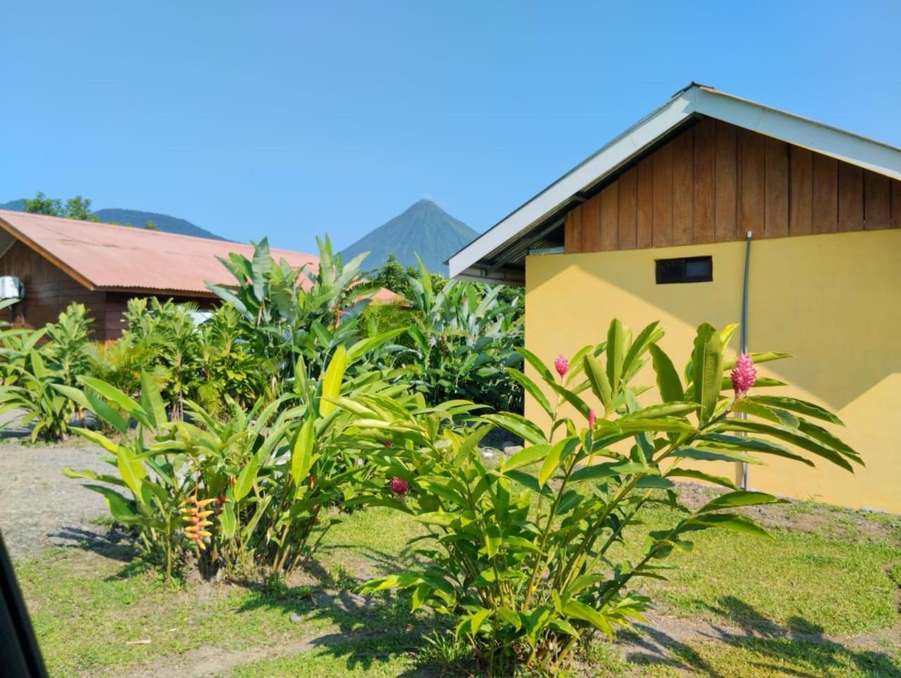 Cabana Rural Pura Vida La Fortuna Eksteriør billede