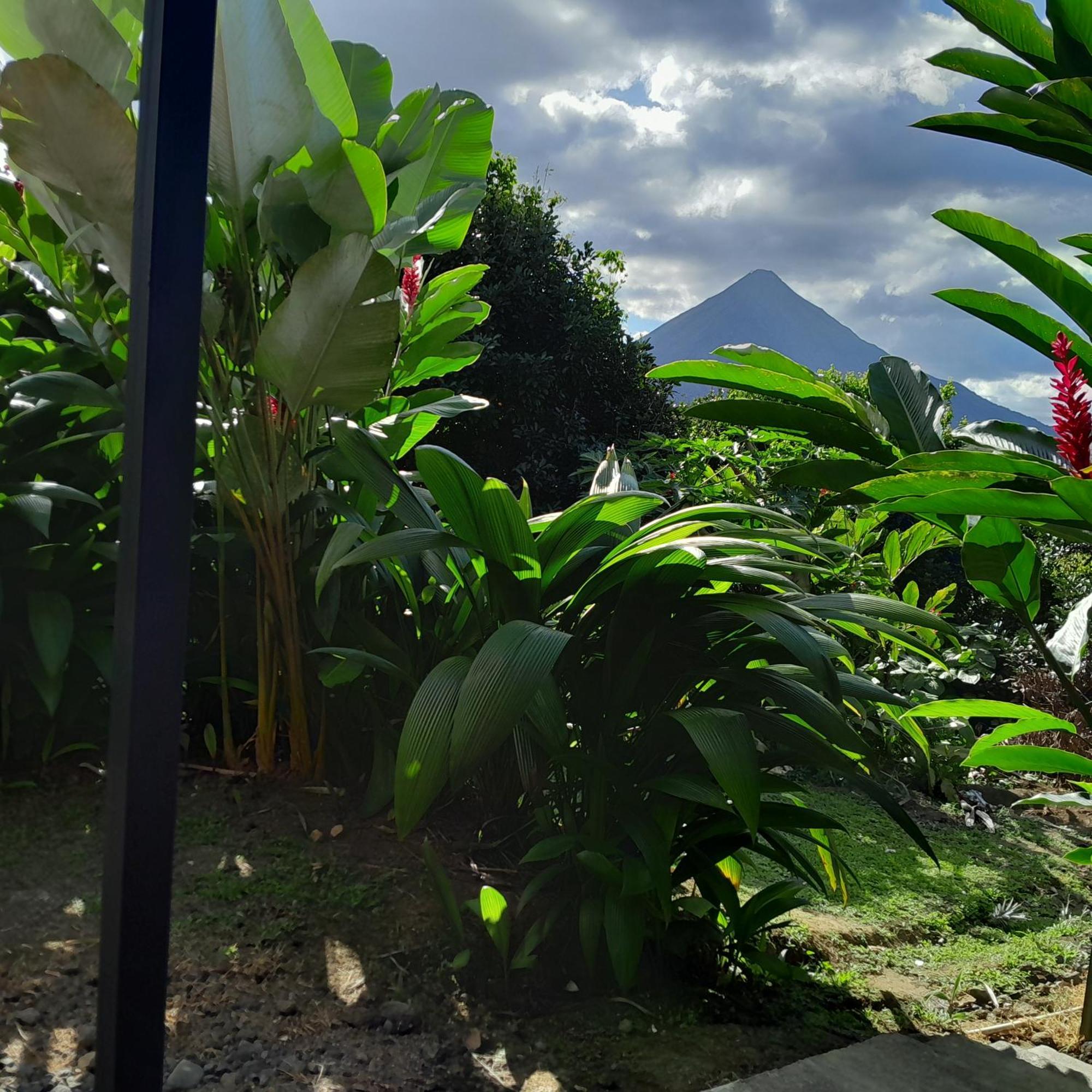 Cabana Rural Pura Vida La Fortuna Eksteriør billede